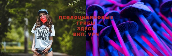 стафф Беломорск