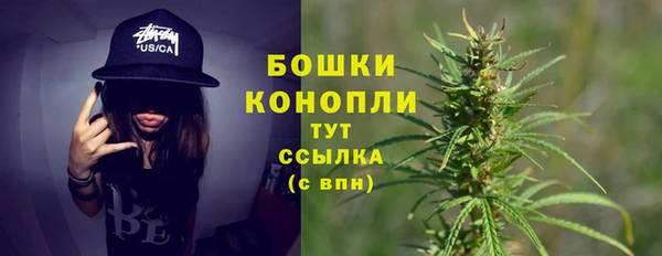 Альфа ПВП Белокуриха