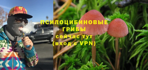 Альфа ПВП Белокуриха