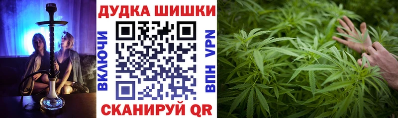 Бошки марихуана сатива  закладки  Кузнецк 
